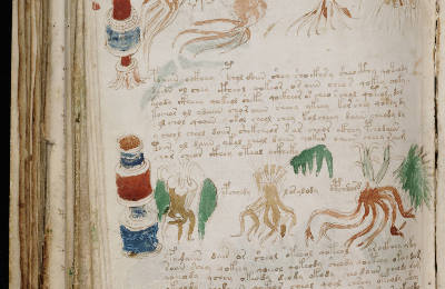 The Voynich Script