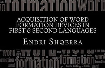 A review of Endri Shqerra's book 