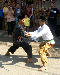 Pencak Silat