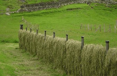 The streets of Parleremo are named after famous masters of literature. In this special issue for Faroese and the Faroe Islands, it is only right that we learn about two Faroese authors: Heðin Brú and Marianna Debes Dahl.