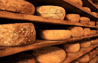 Cheese is the most popular dairy product in the world, besides milk. We eat it in, on top, and along side our meals. It tops out pizzas and complements our wine. Now find the history of the word in many languages.